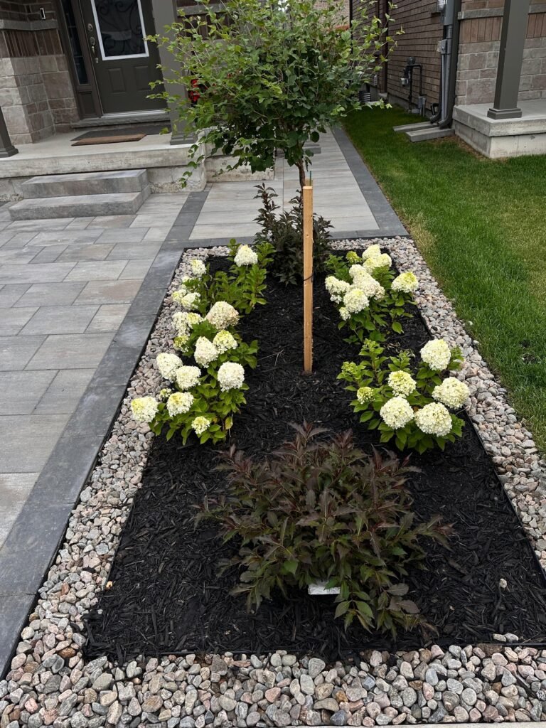 SoftScaping VitBud Landscaping Construction