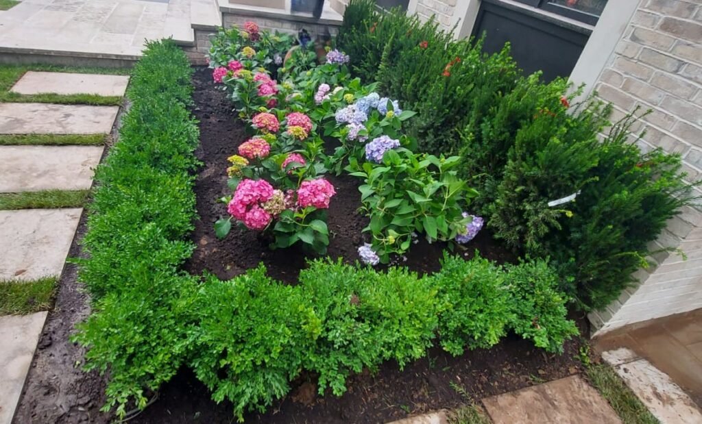 Softscaping VitBud Landscaping Construction (19) Softscaping in Richmond Hill by VitBud Landscaping Construction